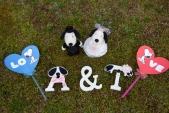 A＆T Happy Wedding