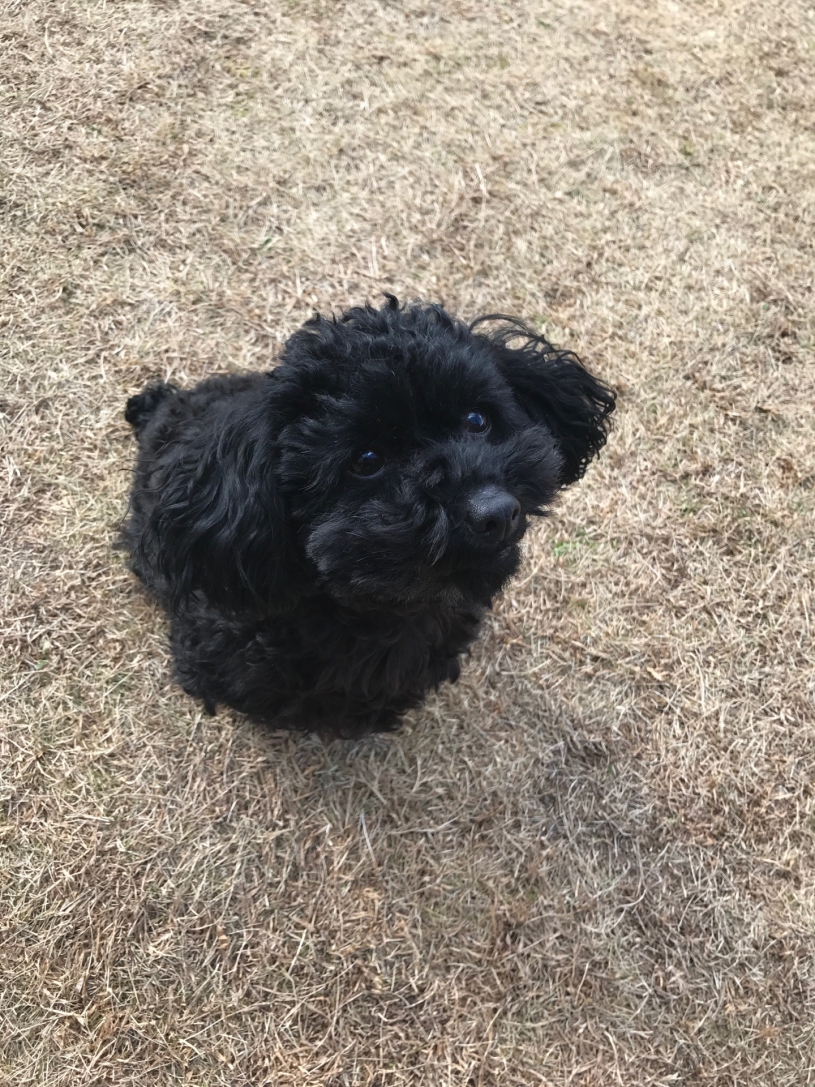 今日の“うちのコ☆”